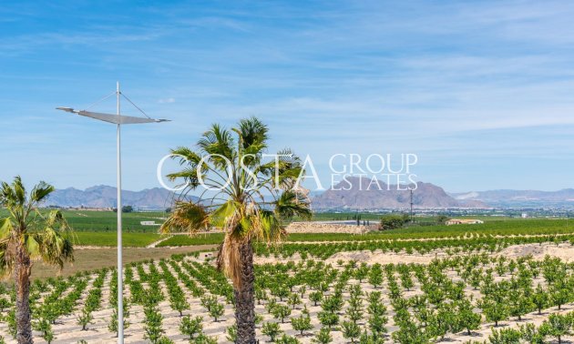 Odsprzedaż - Willa -
Algorfa - Algorfa Centro