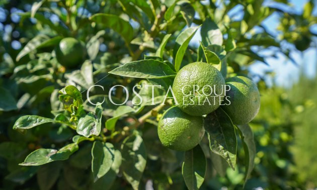 Odsprzedaż - Willa -
Benissa - Benissa Centro