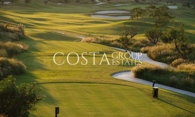 Neue Gebäude - Apartments -
Monforte del Cid