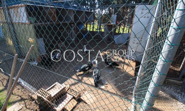 Revente - Maison -
Orihuela - Orihuela Costa