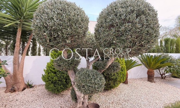 Wiederverkauf - Villa -
Benijofar