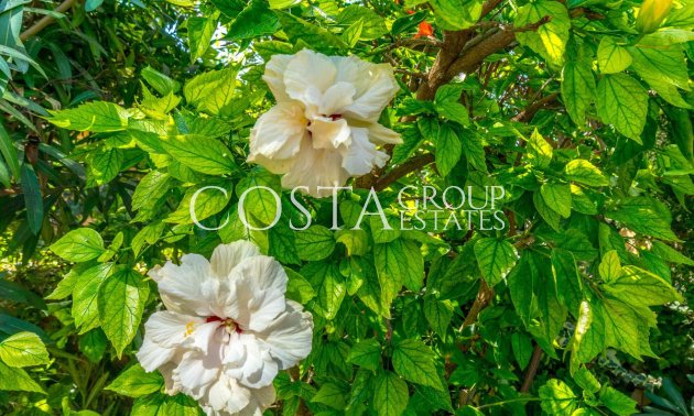 Herverkoop - Apartments -
Torrevieja - Torrevieja Centro