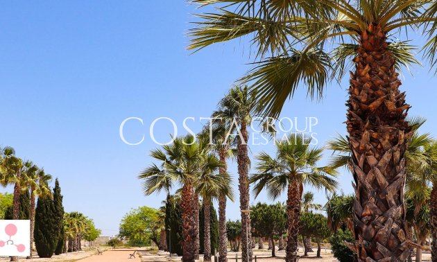 New Build - Villa -
San Fulgencio - La Escuera