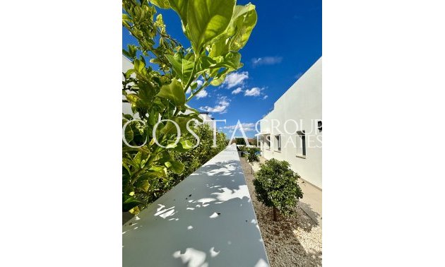 Nieuwbouw Woningen - detached -
Benijofar