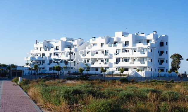 Neue Gebäude - Apartments -
Santa Rosalia