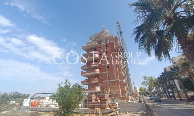 Nouvelle construction - ground-floor -
Guardamar del Segura - Guardamar Del Segura