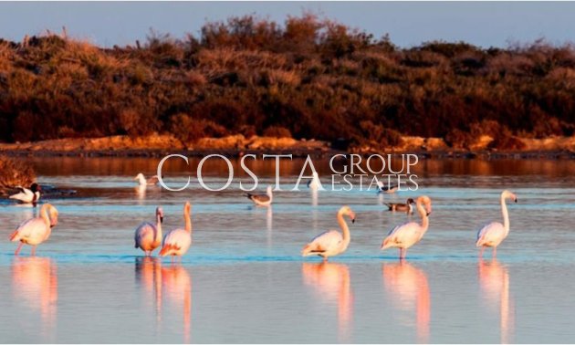 Nowy budynek - detached -
San Pedro del Pinatar - San Pedro Del Pinatar