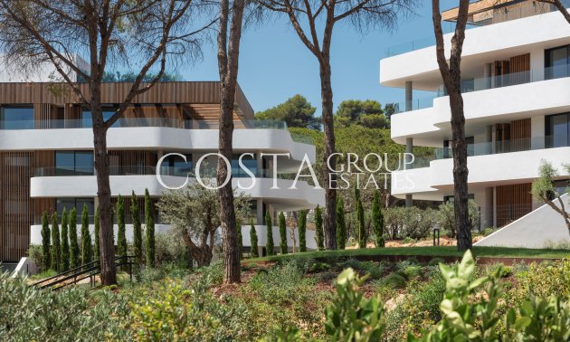 New Build - ground-floor -
Pueblo Nuevo