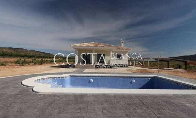 Nouvelle construction - Villa -
Pinoso