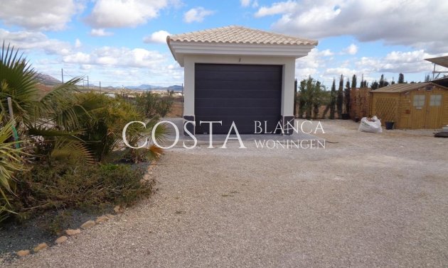 Nouvelle construction - Villa -
Pinoso