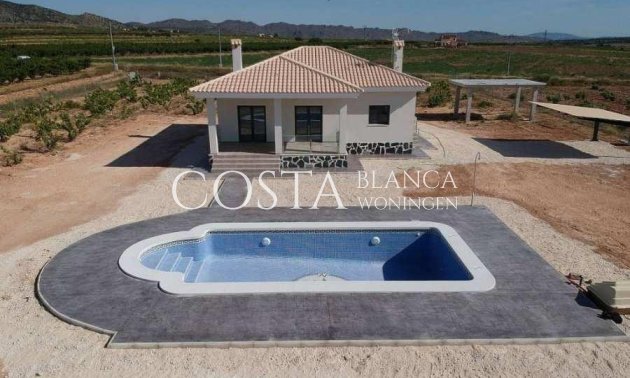 Nouvelle construction - Villa -
Pinoso