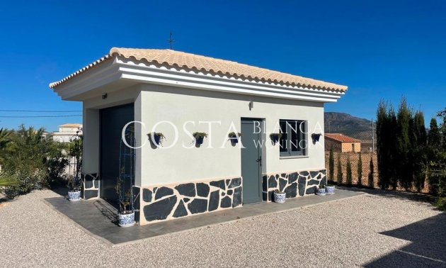Nouvelle construction - Villa -
Pinoso