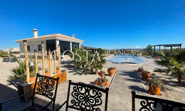 Nouvelle construction - Villa -
Pinoso