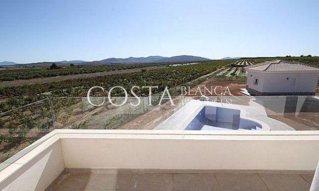 Nouvelle construction - Villa -
Pinoso