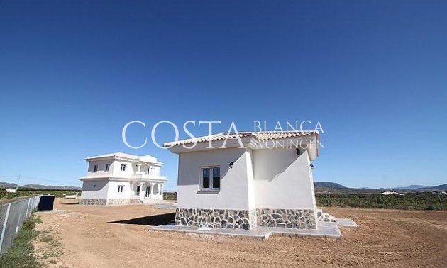 Nouvelle construction - Villa -
Pinoso