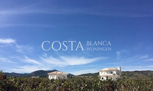 Nouvelle construction - Villa -
Pinoso