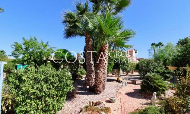 Resale - Villa -
Catral - Catral Centro