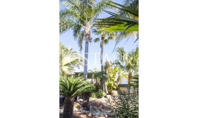 Nowy budynek - Willa -
San Pedro del Pinatar - San Pedro Del Pinatar