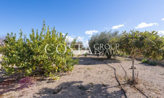 Resale - Villa -
Murcia - Corvera