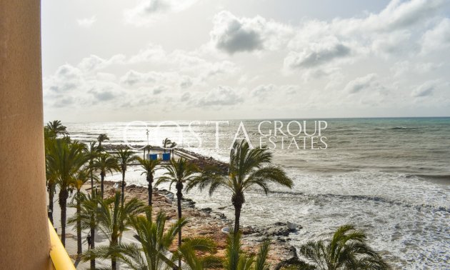 Odsprzedaż - Apartments -
Torrevieja - Torrevieja Centro