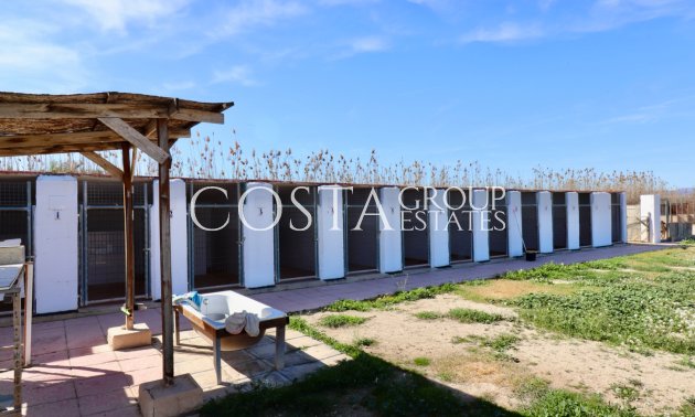 Revente - Villa -
Catral