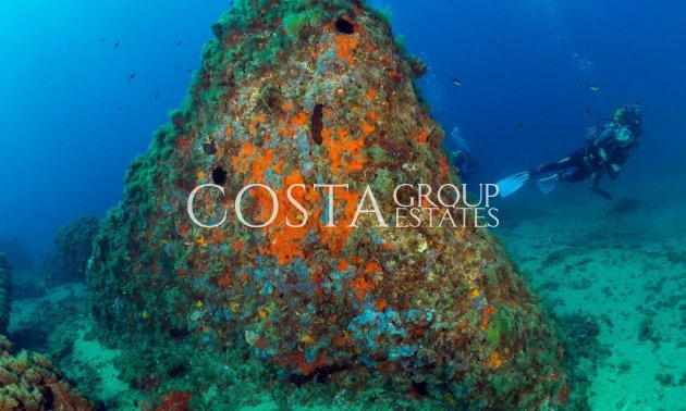 Nieuwbouw Woningen - Apartments -
Aguilas - Isla Del Fraile