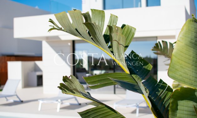 New Build - Villa -
Los Montesinos - La Herrada