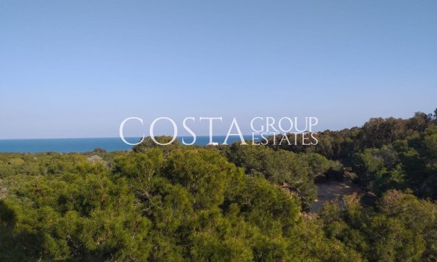 Nieuwbouw Woningen - Apartments -
Guardamar del Segura - Guardamar Del Segura