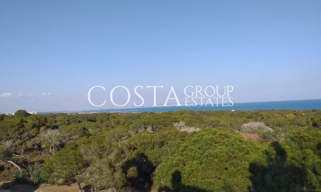 New Build - Apartments -
Guardamar del Segura - Guardamar Del Segura