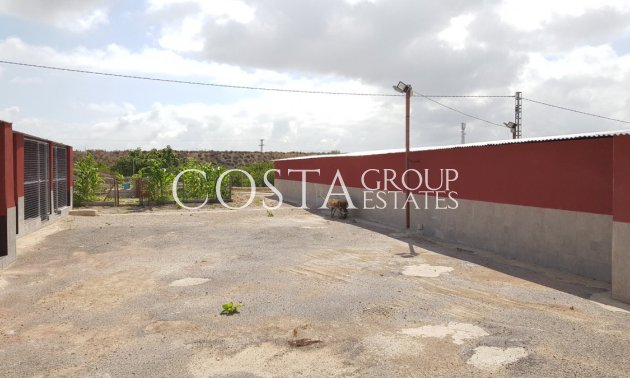 Resale - Villa -
Los Montesinos - Los Montesinos Centro