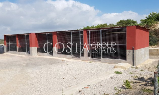 Resale - Villa -
Los Montesinos - Los Montesinos Centro