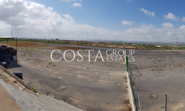 Resale - Villa -
Los Montesinos - Los Montesinos Centro