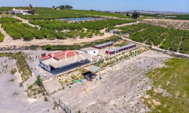 Resale - Villa -
Los Montesinos - Los Montesinos Centro