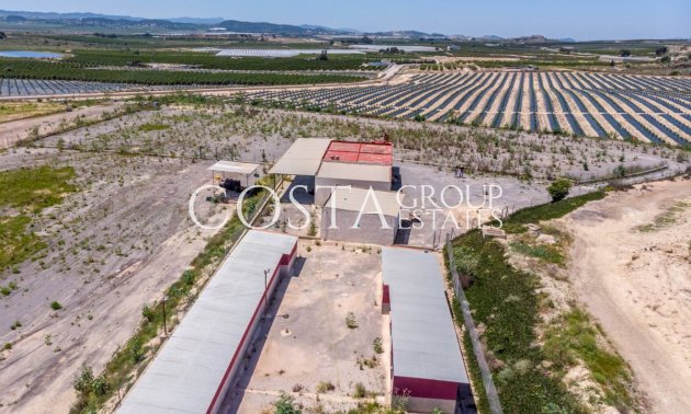 Resale - Villa -
Los Montesinos - Los Montesinos Centro