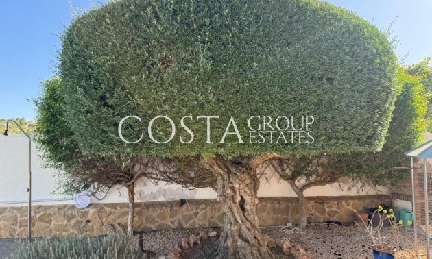 Odsprzedaż - Willa -
San Miguel de Salinas - San Miguel de Salinas Centro