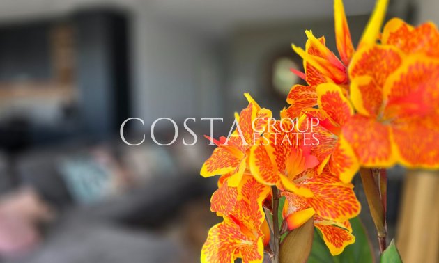 Resale - Villa -
Los Montesinos - Los Montesinos Centro