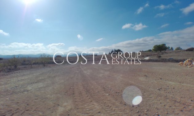 Revente - Villa -
Pinoso - Pinoso Centro