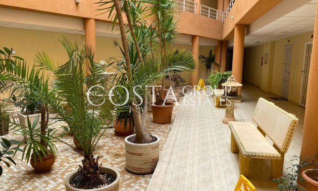 Wiederverkauf - Apartments -
San Miguel de Salinas - San Miguel de Salinas Centro