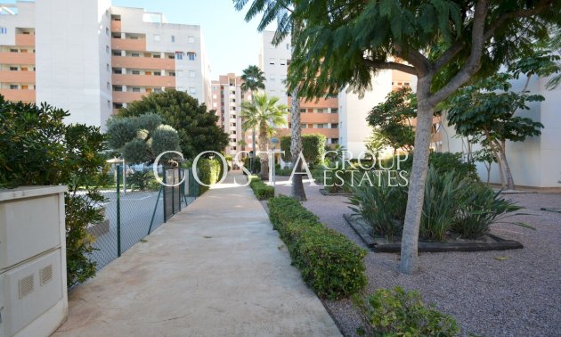 Herverkoop - Apartments -
Guardamar del Segura - Guardamar del Segura Centro
