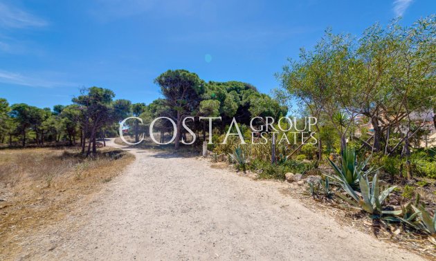 Odsprzedaż - Apartments -
Guardamar del Segura - Guardamar del Segura Centro