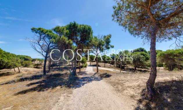 Odsprzedaż - Apartments -
Guardamar del Segura - Guardamar del Segura Centro