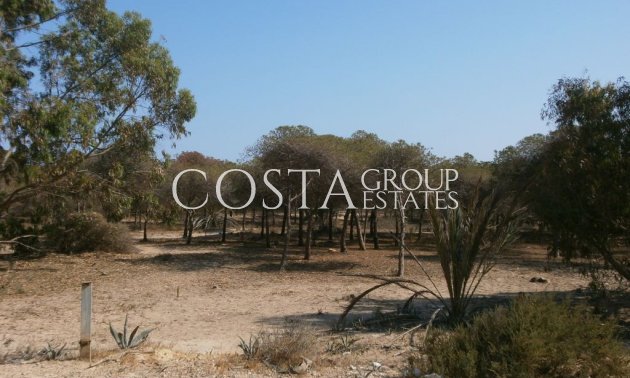 Wiederverkauf - Apartments -
Guardamar del Segura - Guardamar del Segura Centro