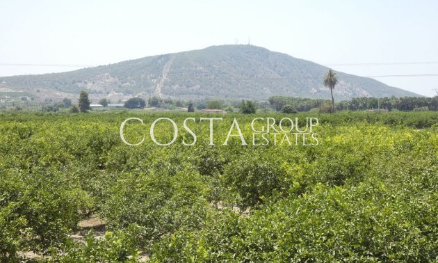 Herverkoop - Villa -
Bigastro