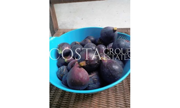 Herverkoop - Villa -
Dolores - Dolores Centro