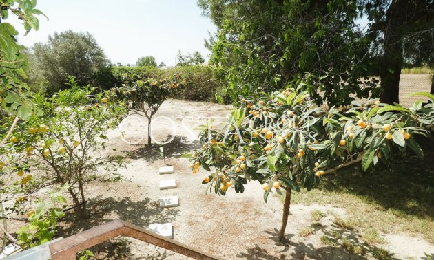 Herverkoop - Villa -
Dolores - Dolores Centro
