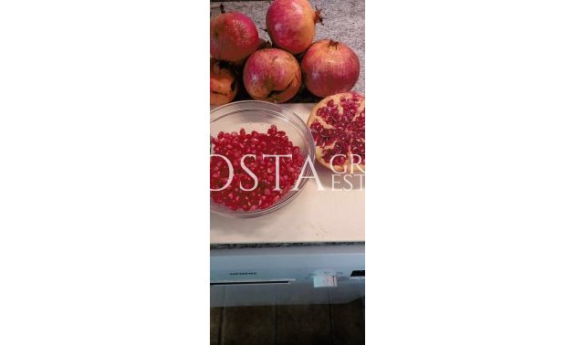 Herverkoop - Villa -
Dolores - Dolores Centro