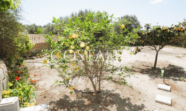 Herverkoop - Villa -
Dolores - Dolores Centro