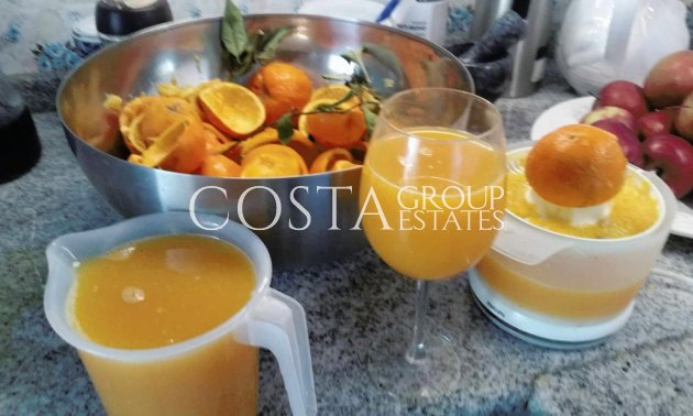 Herverkoop - Villa -
Dolores - Dolores Centro