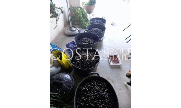 Herverkoop - Villa -
Dolores - Dolores Centro