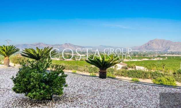 Wiederverkauf - Villa -
Benejúzar - Benejuzar Centro